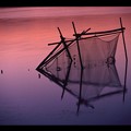 写真: 湖畔の網