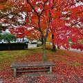 写真: 秋景