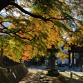 Photos: 西善寺の秋