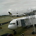 写真: シドニー空港