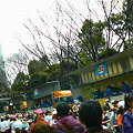 写真: 東京マラソン1