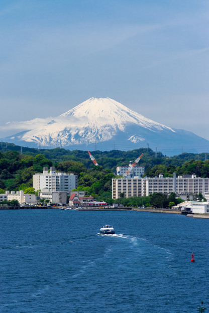 写真: 富士へ臨む