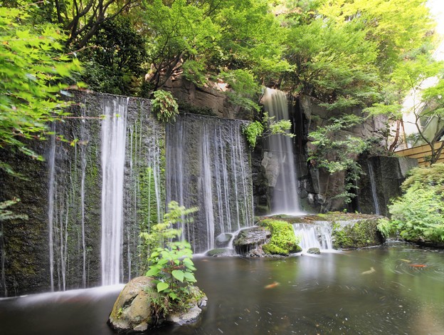 写真: 滝の流れる庭園
