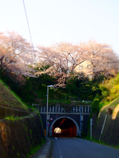 写真: 東隧道