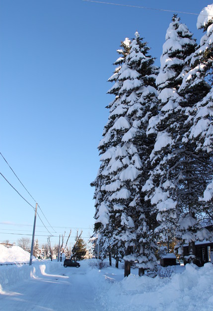 写真: 大雪と青空