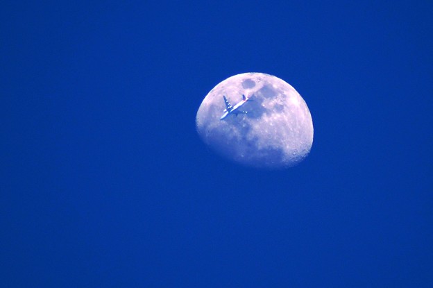 写真: 月と飛行機