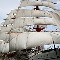 日本丸の総帆展帆