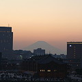 写真: 横浜と富士の景色−１