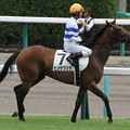 写真: ヒシサブリナ 返し馬（13/09/08・新馬戦）