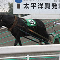 写真: ライデンメルテイ レース（17/09/23・5R）