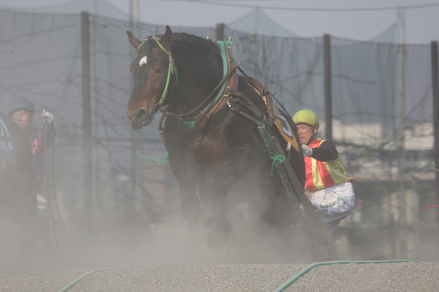 写真: タイショーセンプー レース（18/04/29・3R）