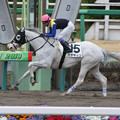 写真: ハヤヤッコ レース（19/03/23・6R）