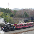 写真: s2528_京都鉄道博物館_SLスチーム号列車後退中