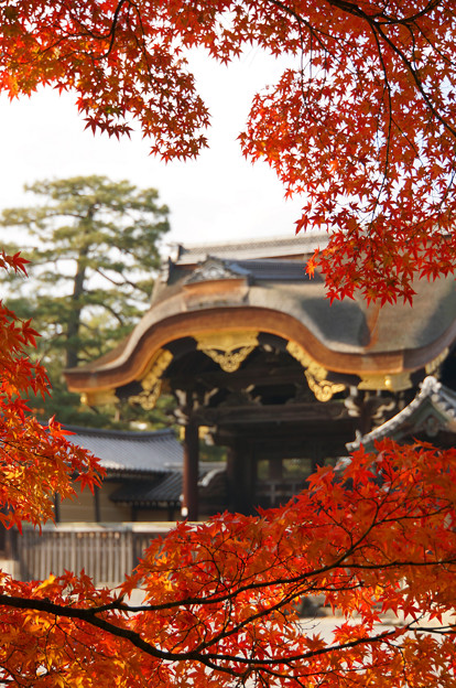 写真: 秋の京都