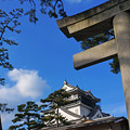 写真: 岡崎の城