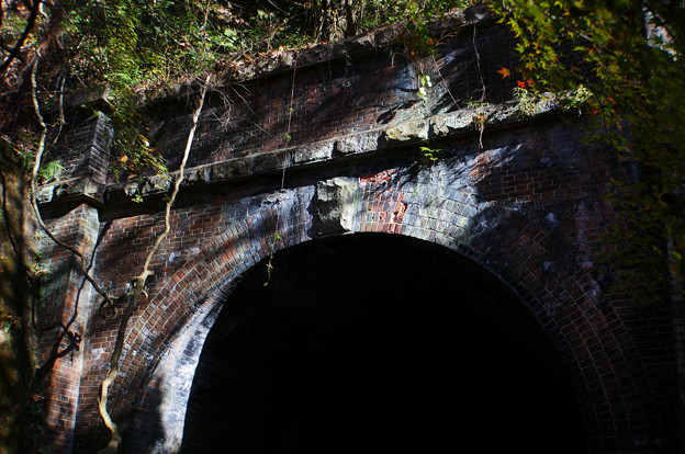 写真: 廃線のトンネル