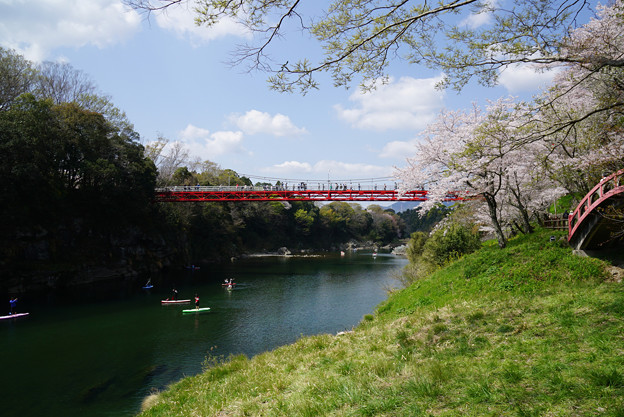 写真: 赤い橋と春景色