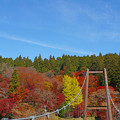 写真: 吊り橋と紅葉