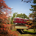 写真: 桜紅葉阪急電車