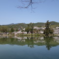 大沢池と多宝塔