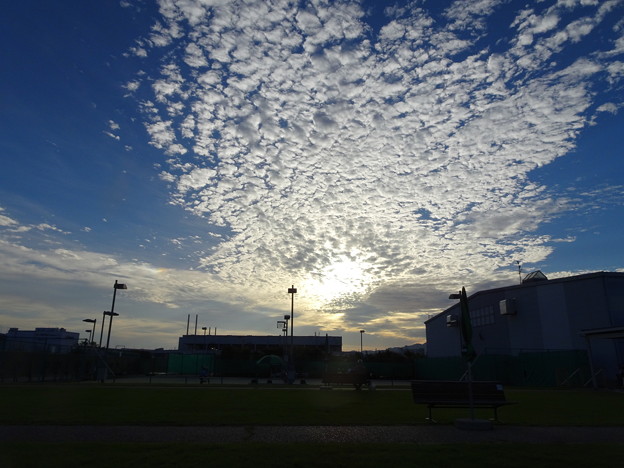写真: テニスコートの空