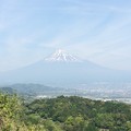 写真: 蒲原からの富士