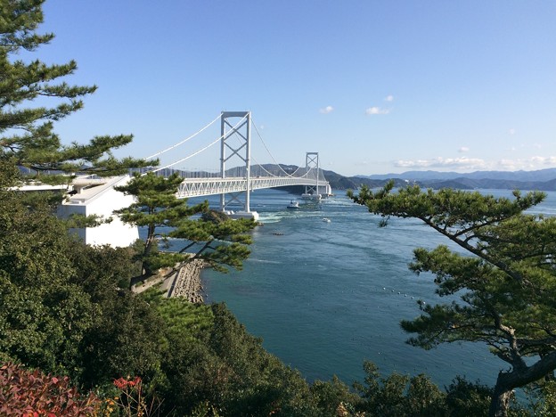 写真: 大鳴門橋 遠望