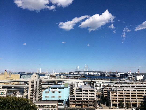 写真: 横浜 海の見える丘公園からの眺め