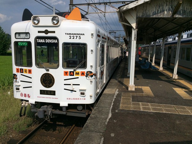 写真: 伊太祈曽駅５ 〜たま電車、到着〜