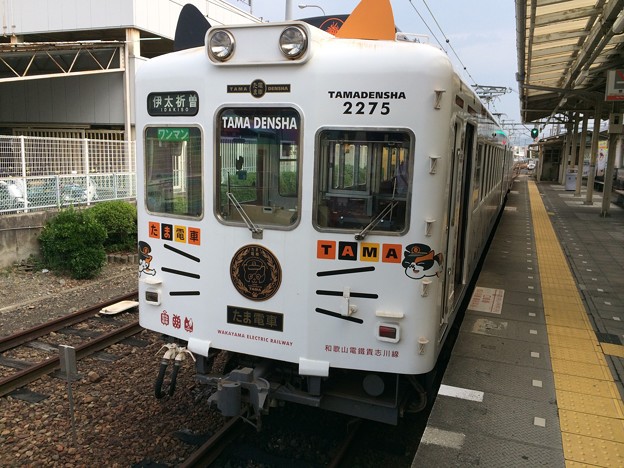 たま電車 和歌山到着