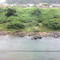 写真: 長良川の流れ５