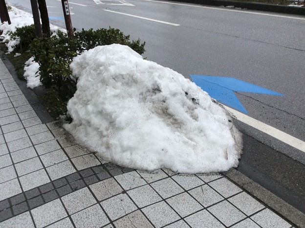 彦根の残雪11