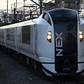 E259系　Ne017編成　成田エクスプレス