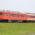 写真: いすみ鉄道キハ52 125（首都圏色）+キハ28 2346