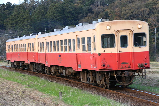 写真: 小湊鉄道キハ200形　キハ203