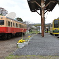 写真: 小湊鉄道キハ200形　キハ207・いすみ鉄道いすみ200型　207