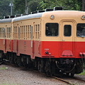 写真: 小湊鉄道キハ200形　キハ212