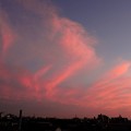 写真: 茜色に染まる雲