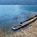 写真: 湖畔の風景