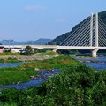 写真: 千曲川と上田ハープ橋