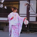 写真: 光前寺の枝垂桜＃１