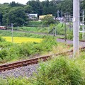 写真: 飯田線Ｗカーブ