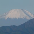 写真: 191105-富士山 (3)