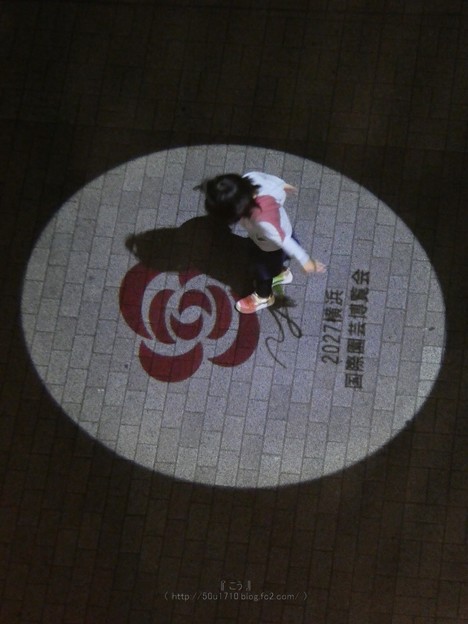 写真: 201123-プロジェクターライト瀬谷駅前 (24)