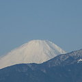 写真: 100207-富士山 (1)