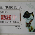 101113-和歌電 伊太祁曽駅  (4)