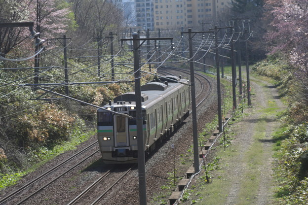 写真: 春の電車