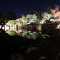 写真: 彦根城の散紅葉とひこにゃん (61)