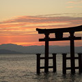 写真: 大鳥居と朝日で出来た太陽柱