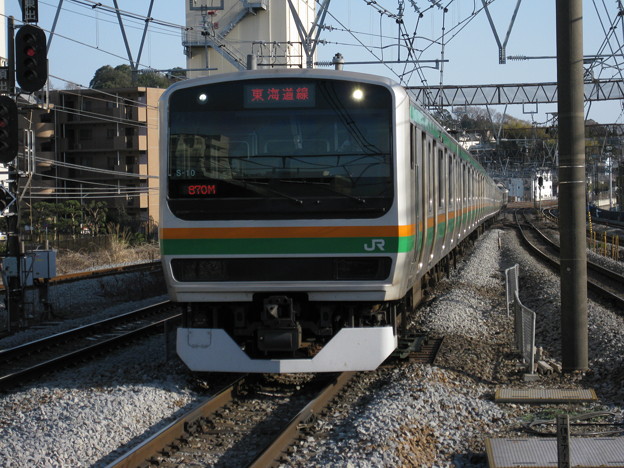写真: 東海道線E231系15両編成 in戸塚